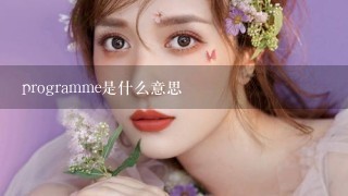 programme是什么意思